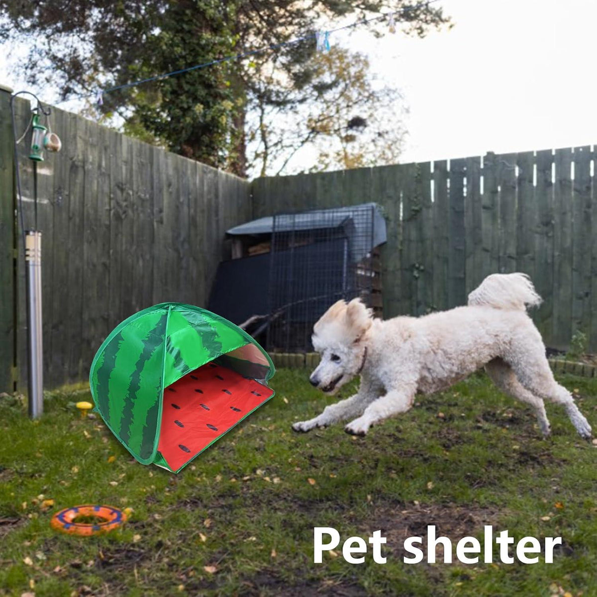 Hundestrandzelt Sonnenschutz Wassermelone Pop-up Mini Strandzelt