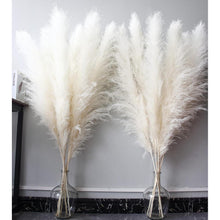 10x Großes Pampasgras Deko 115cm Beige für Boho Wohnzimmer