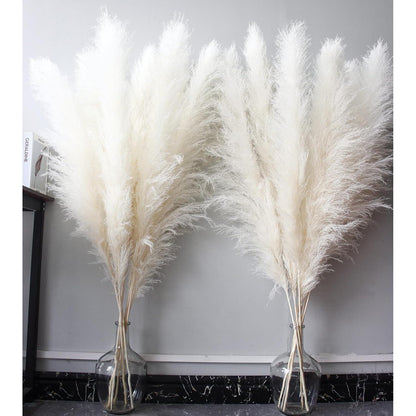 10x Großes Pampasgras Deko 115cm Beige für Boho Wohnzimmer