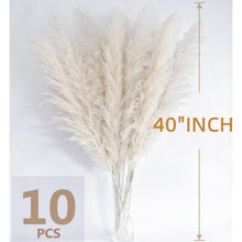10x Großes Pampasgras Deko 115cm Beige für Boho Wohnzimmer