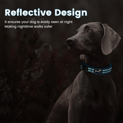 Reflektierendes Verstellbares Hundehalsband Nylon Blau Weich