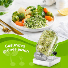 Hydroponisches Sprossenglas Set mit Edelstahldeckel - 750ml