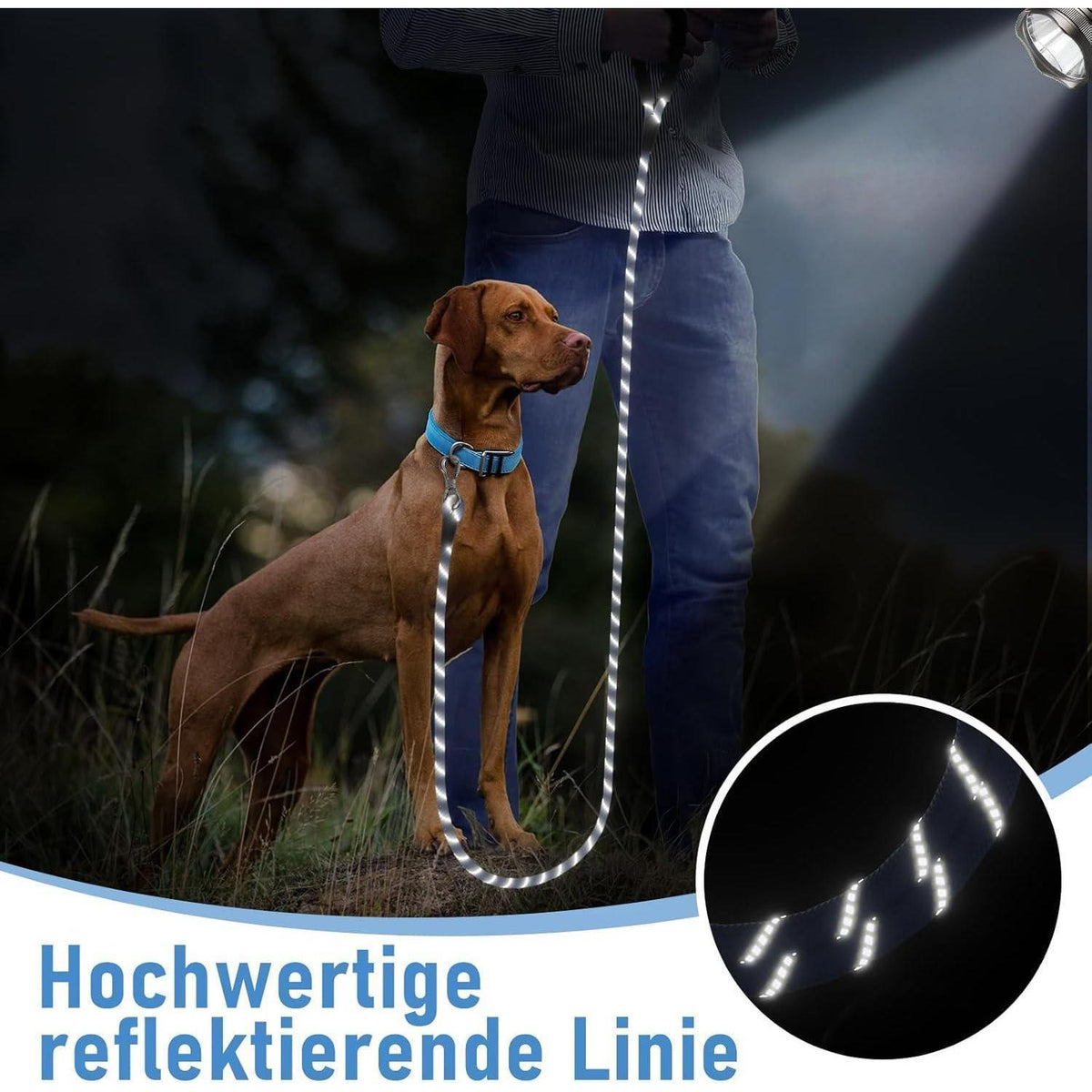 Schleppleine für Hunde mit gepolstertem Griff, 5m, Blau