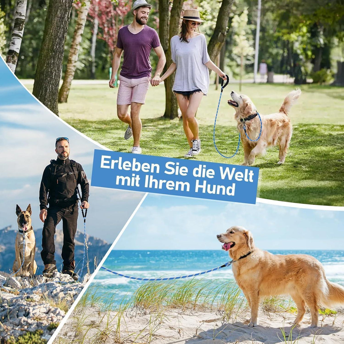 Schleppleine für Hunde mit gepolstertem Griff, 5m, Blau
