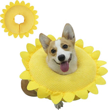 IEUUMLER Aufblasbare Halskrause Hund Leckschutz Katze Sunflower XL