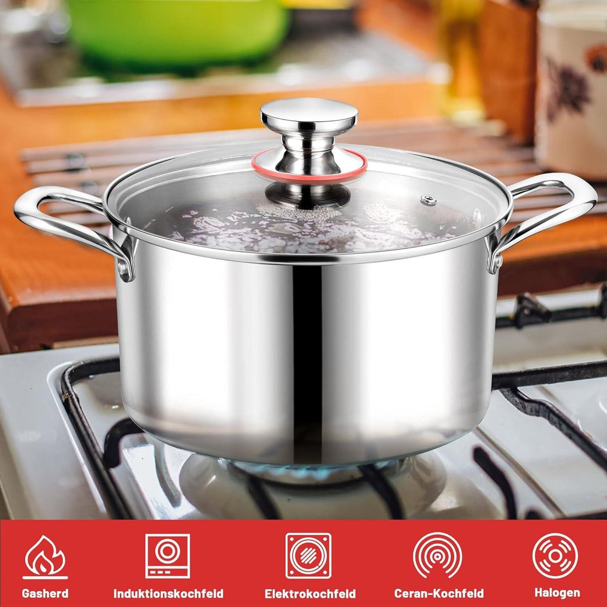 Edelstahl Kochtopf mit Glasdeckel Ø 24 cm für Induktion 5,6 L