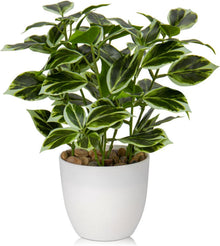 Kunstpflanze Künstliche Ficus Pflanze Dekopflanze Fensterbank