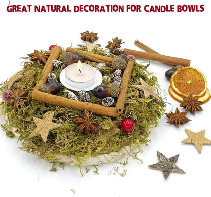 52er Natur Potpourri Weihnachtsdeko Adventskranz Set