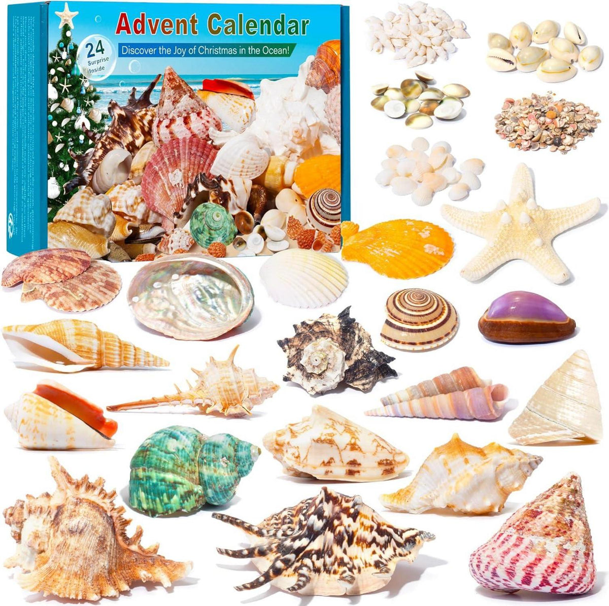 Adventskalender 2023 Kinder Muscheln Seesterne Weihnachts Countdown