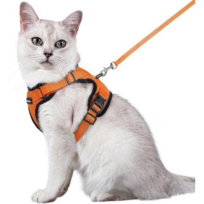 Katzengeschirr mit Leine, ausbruchsicher, orange, Größe M