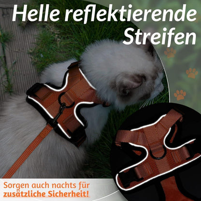 Katzengeschirr mit Leine, ausbruchsicher, orange, Größe M