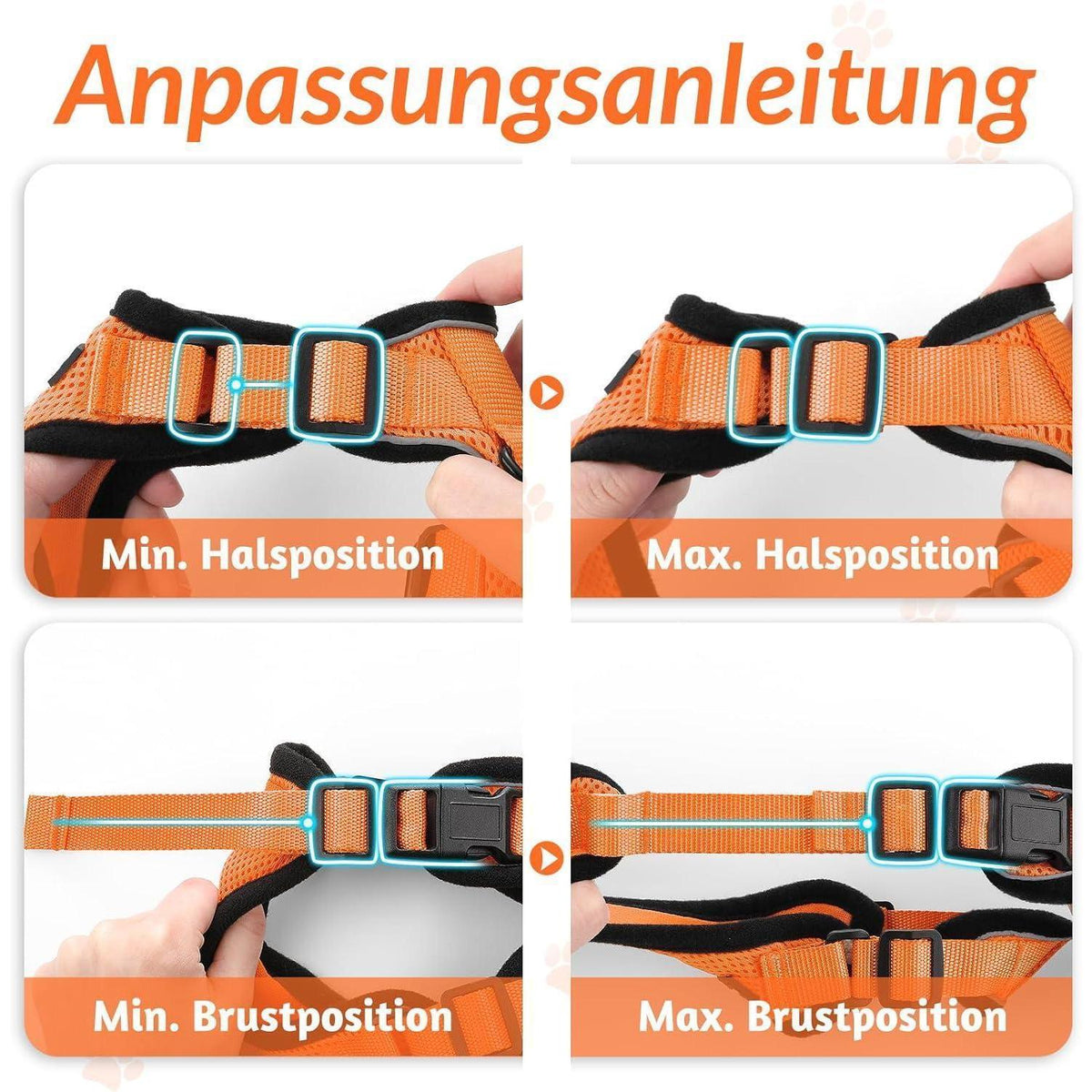 Katzengeschirr mit Leine, ausbruchsicher, orange, Größe M