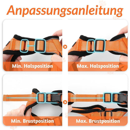 Katzengeschirr mit Leine, ausbruchsicher, orange, Größe M
