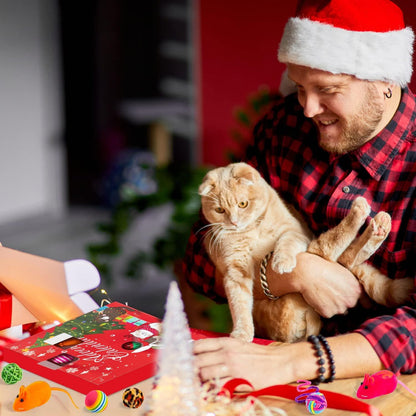 Adventskalender Katzen Interaktives Spielzeug 24-tlg. Katze Federn