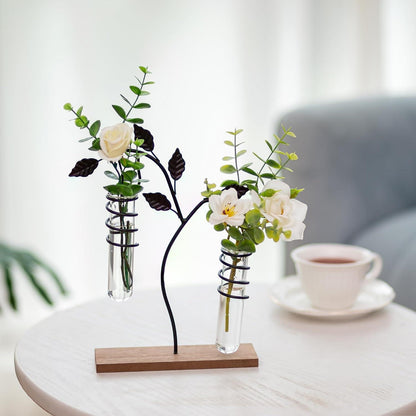 Moderne Glasvasen Set für Hydrokultur Terrarium Pflanzen