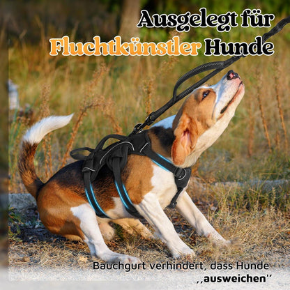 Ausbruchsicheres Hundegeschirr mit Griff, Schwarz S
