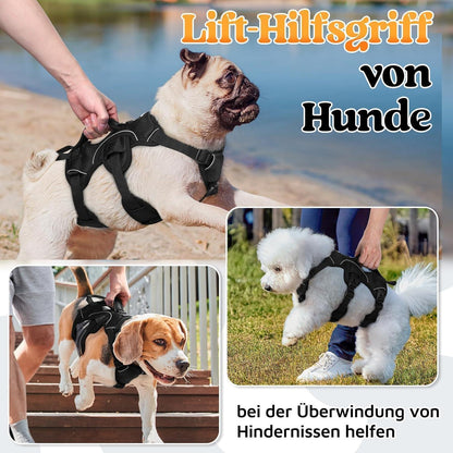 Ausbruchsicheres Hundegeschirr mit Griff, Schwarz S