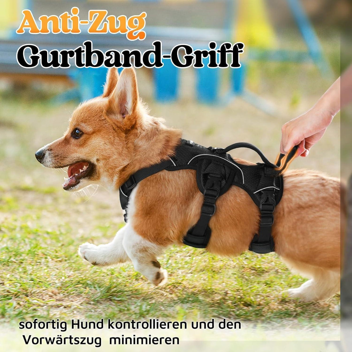 Ausbruchsicheres Hundegeschirr mit Griff, Schwarz S