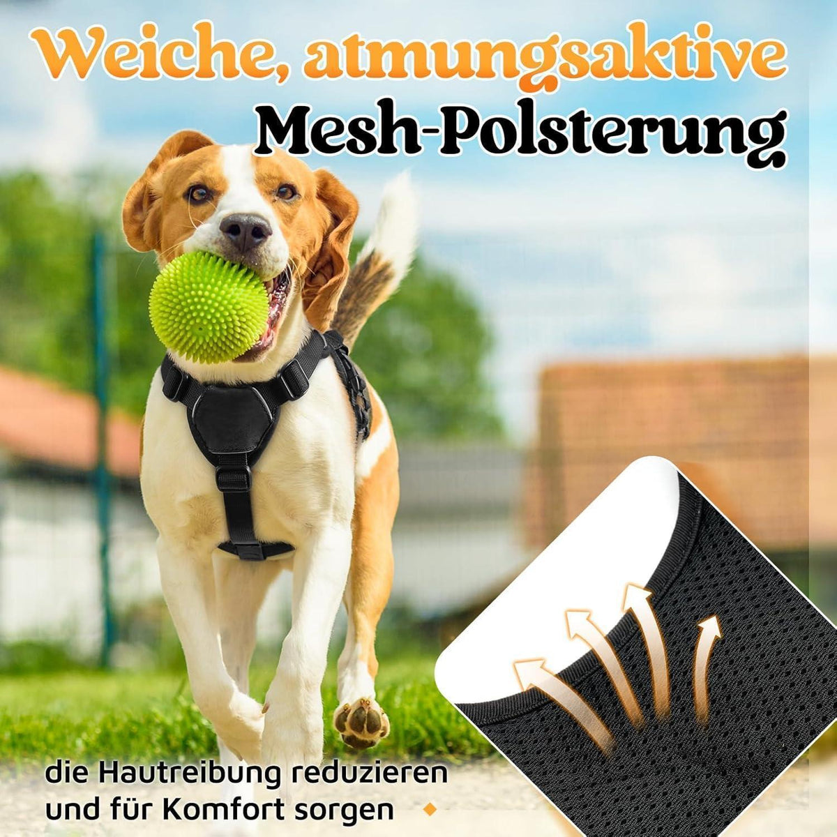 Ausbruchsicheres Hundegeschirr mit Griff, Schwarz S