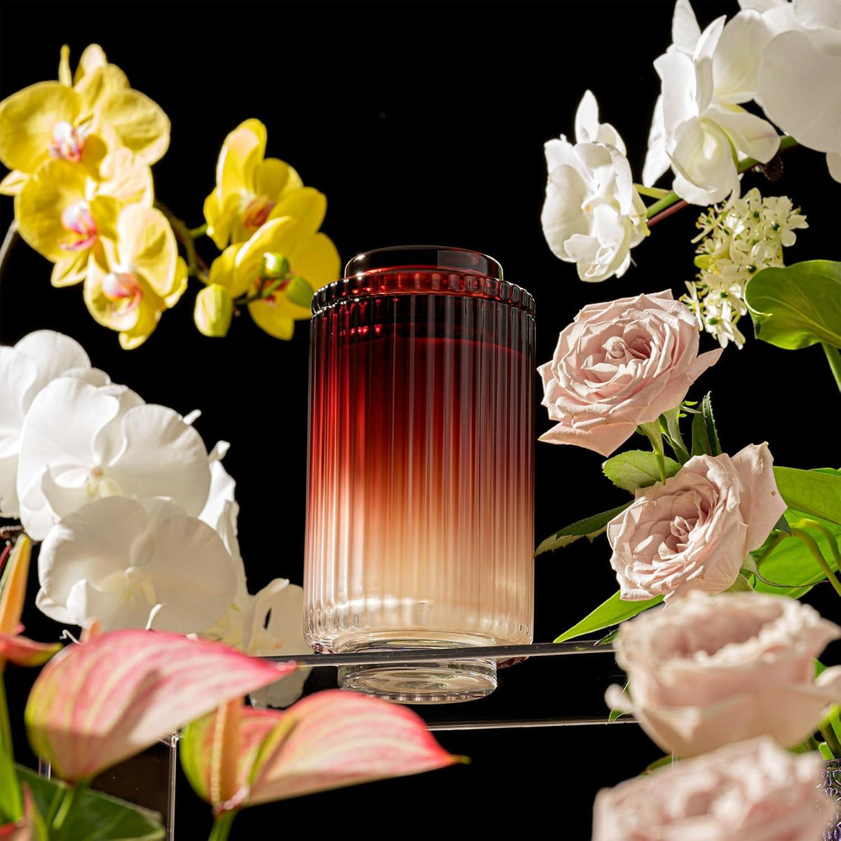 LA JOLIE MUSE Sandelholz Rose Duftkerze 538g Brenndauer 120 Stunden
