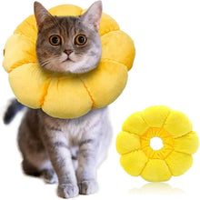Katze Sonnenblume Halsband Halskrause Nach Operation