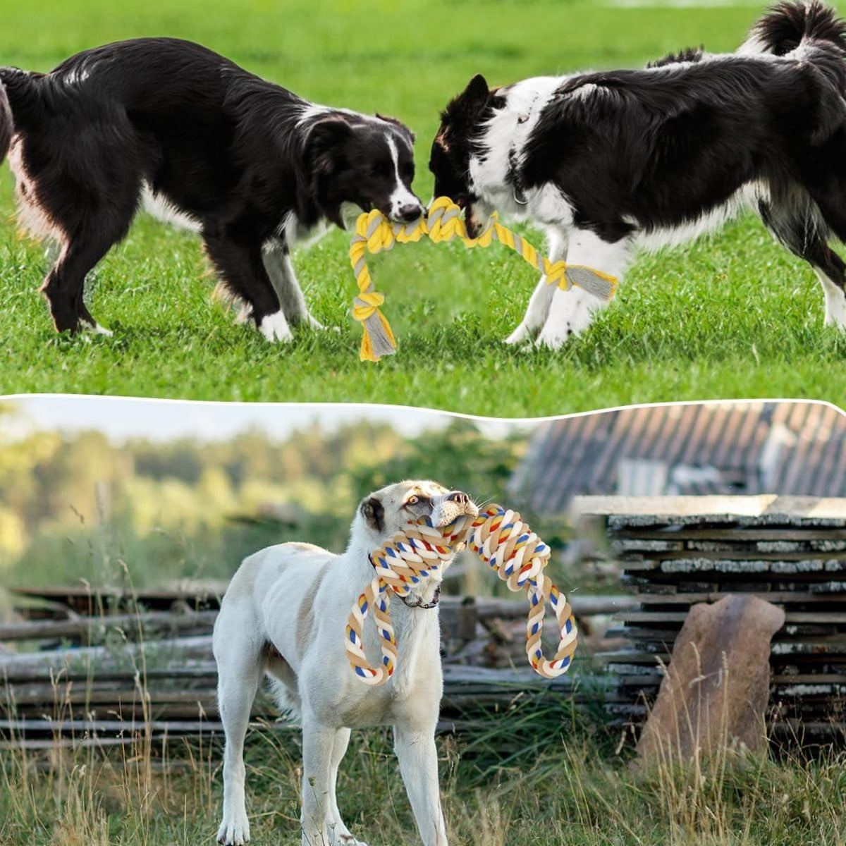 Hundespielzeug Seil Baumwolle Unzerstörbar Kauspielzeug 55cm+57cm