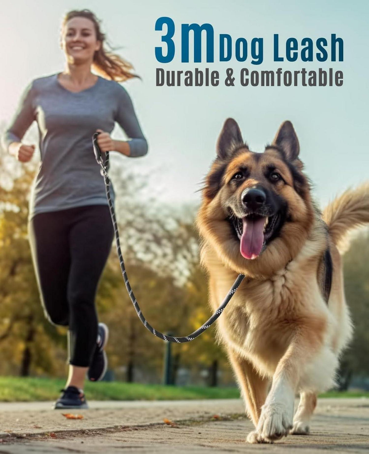 oneisall Hundeleine für Große & Mittelgroße Hunde 3m Nylon