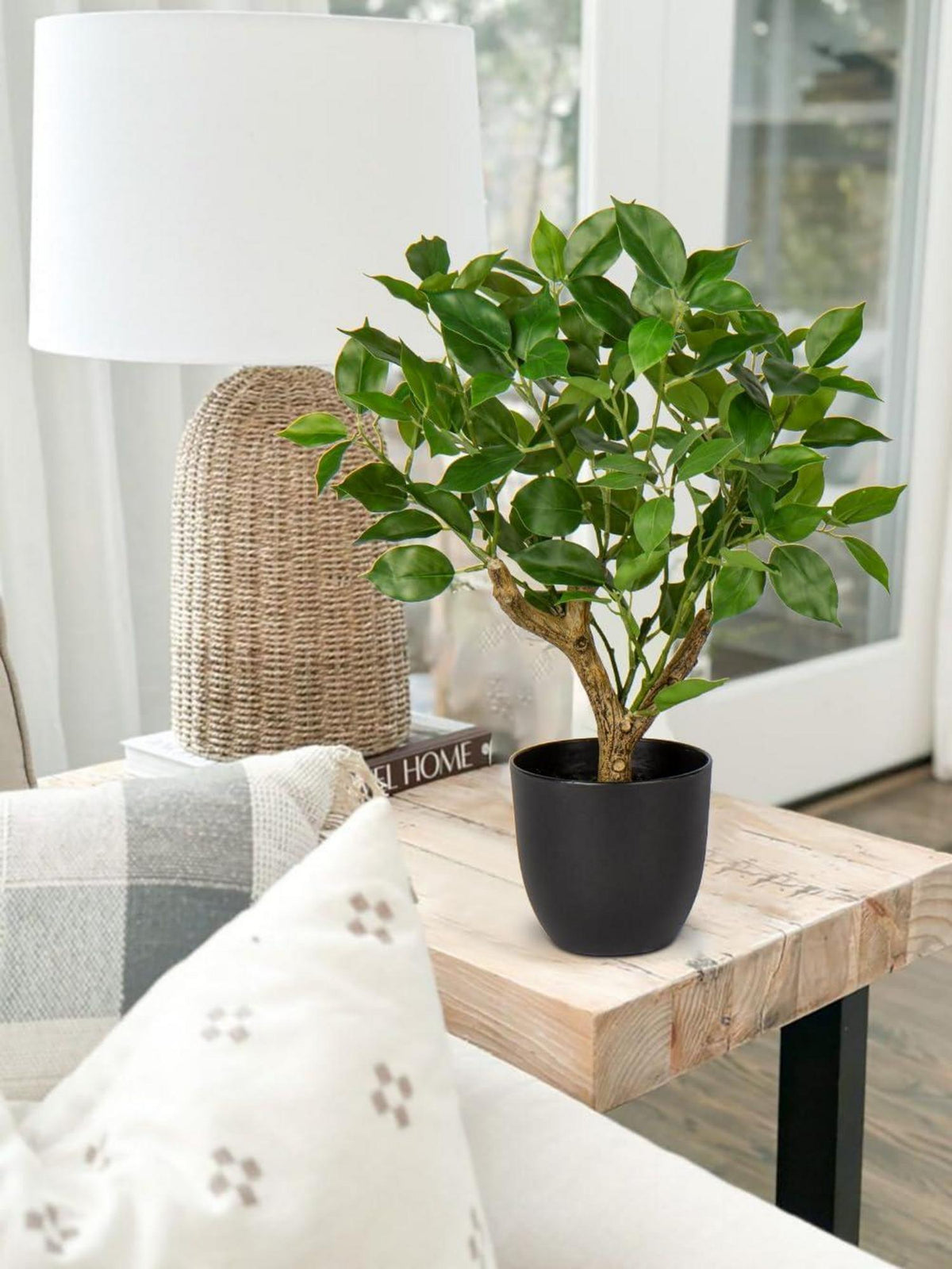 Künstliche Ficus Kunstpflanze 43CM Grün im Schwarzem Topf - Deko Fensterbank
