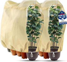 Pflanzenschutz Winter Frostschutz 240x200cm 80g/㎡ Zugband