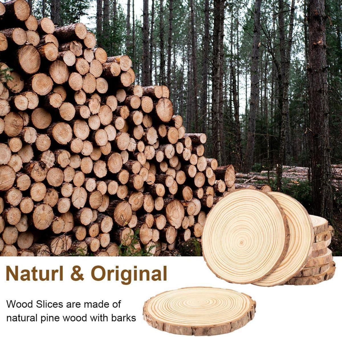 10 Stück Naturholz Baumscheiben 13-14cm Basteln Deko DIY