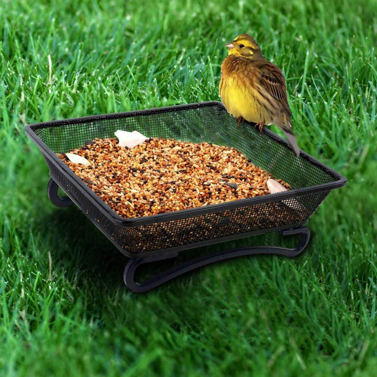 2er Pack Futterstation Feinmaschige Bodenfütterung für Vögel
