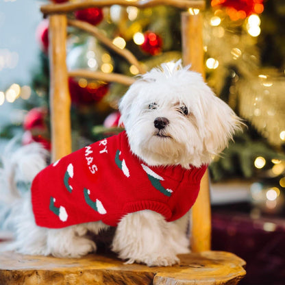 Hundepullover Weihnachten Rot – Strickpulli für kleine & mittelgroße Hunde