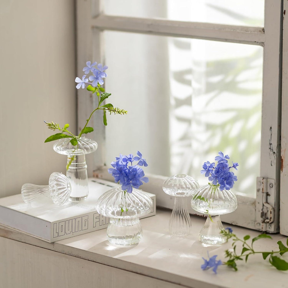 5er Set Pilz Vasen Glas Klar Blumenvasen Mini Deko