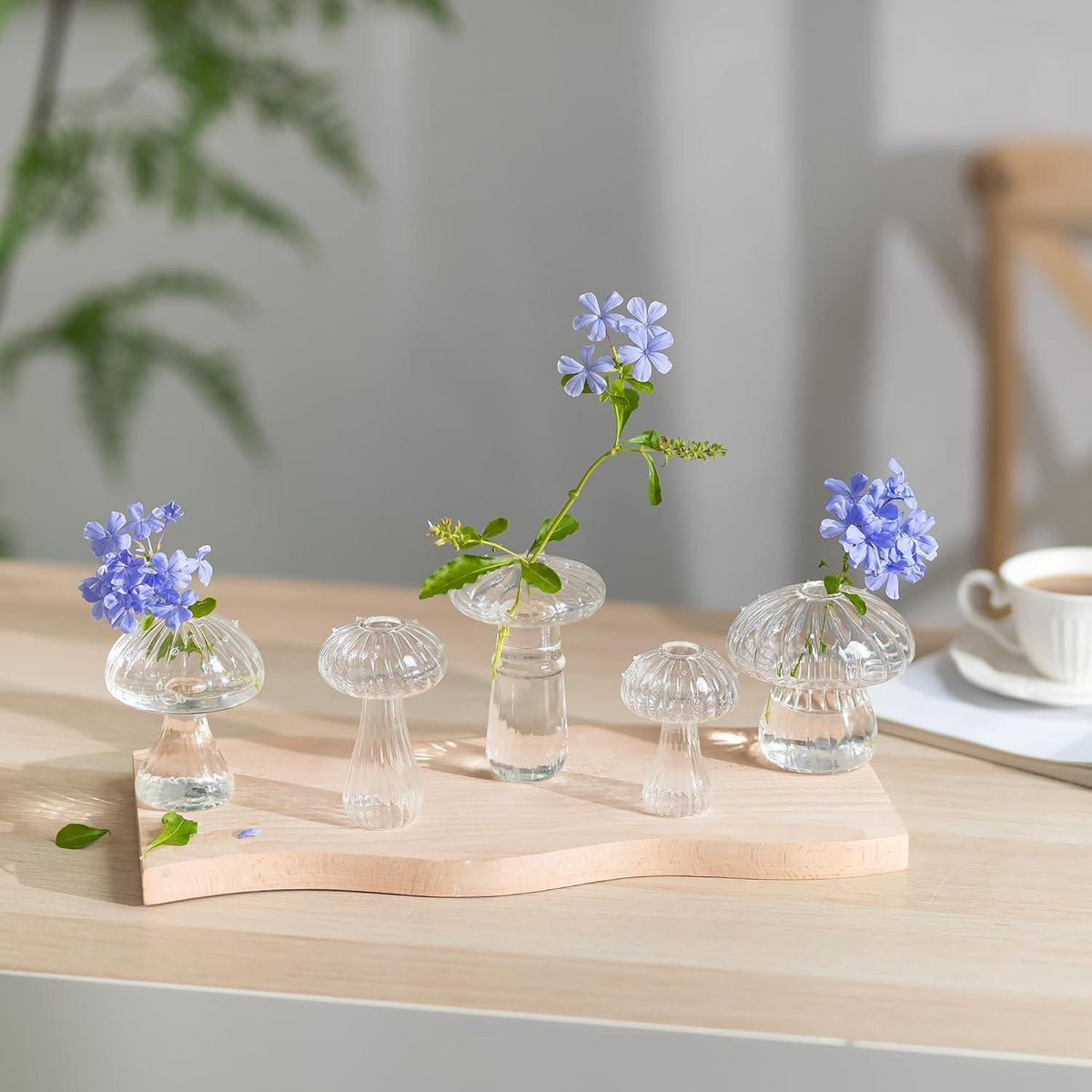 Pilz Vase Glas Klar Blumen Vasen Set Mini Deko Couchtisch