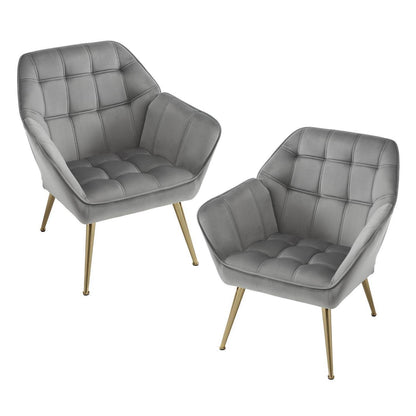 Gepolsterter Samt Sessel 2er Set Modern Grau