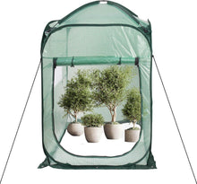 Mini Pop-Up Gewächshaus für Pflanzenüberwinterung 94x94x122cm