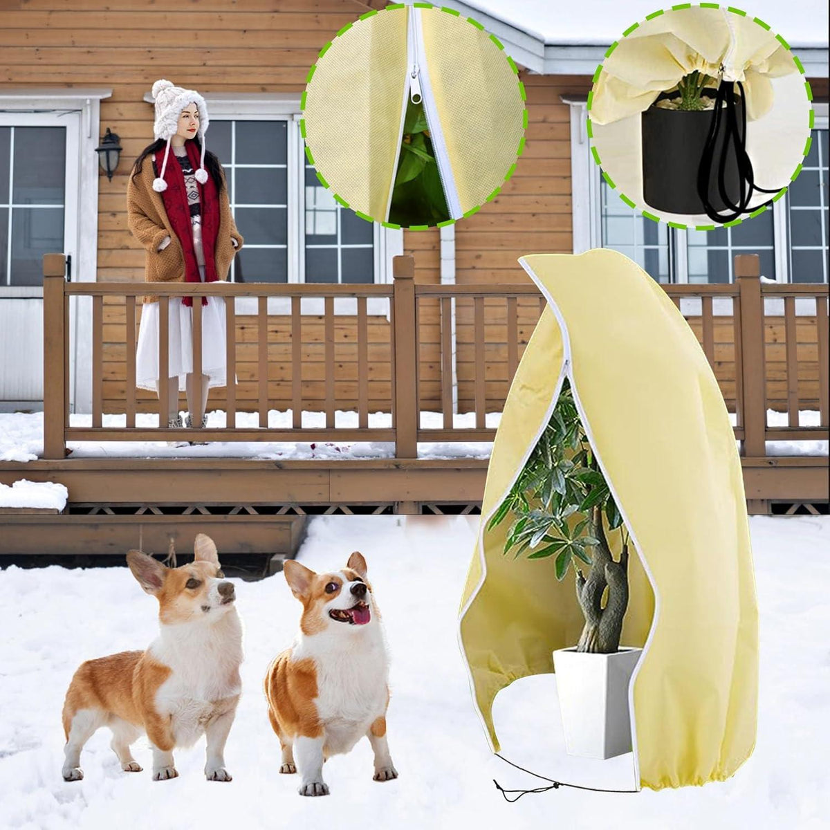 Winterschutz Pflanzen Überwinterungszelt Frostschutz Haube Palmen Olivenbaum 80x100cm