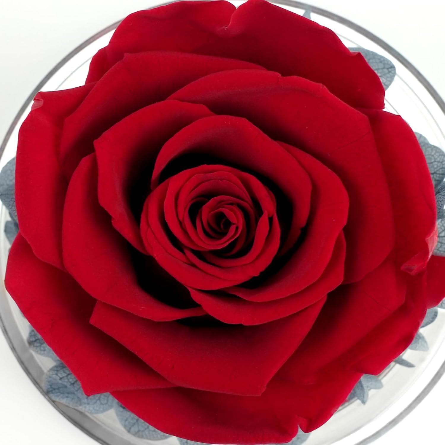 Engel Figur Sunia Beste Tochter Geschenk Ewige Blume Mama Allahatório