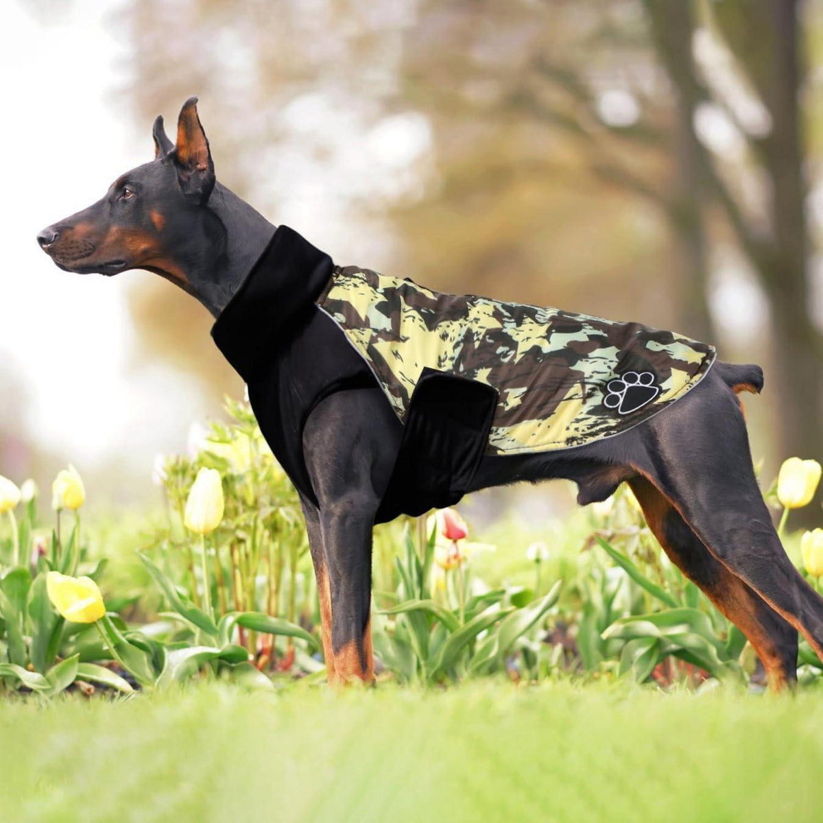 Hundemantel Winter für Kleine und Große Hunde mit Reflektorstreifen in