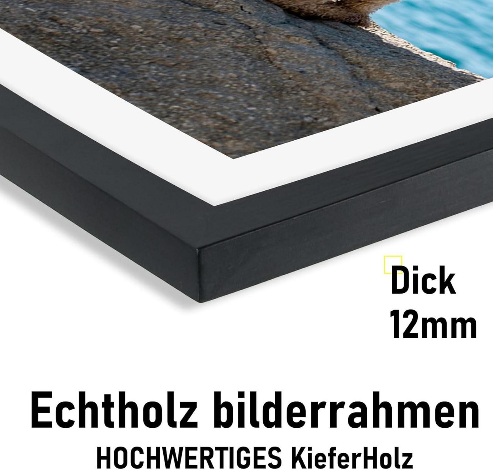 Bilderrahmen A3 Echtholz Kieferholz Holz Rahmen Acrylglas