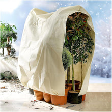 Winterschutz Pflanzen 85 g/m² Atmungsaktiv Beige 250x360cm