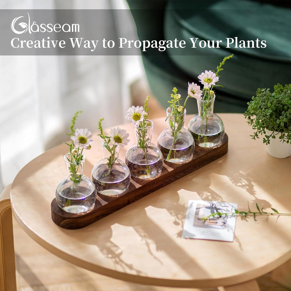 Mini Glas Terrarium Set Hydrokultur Vase Holztablett Kreativ96