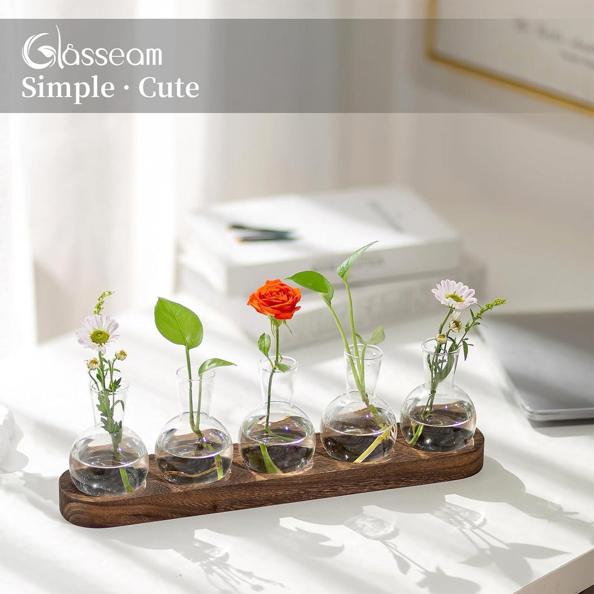 Glasseam Pflanzen Terrarium Vasen Set Hydrokultur Deko Büro Wohnzimmer
