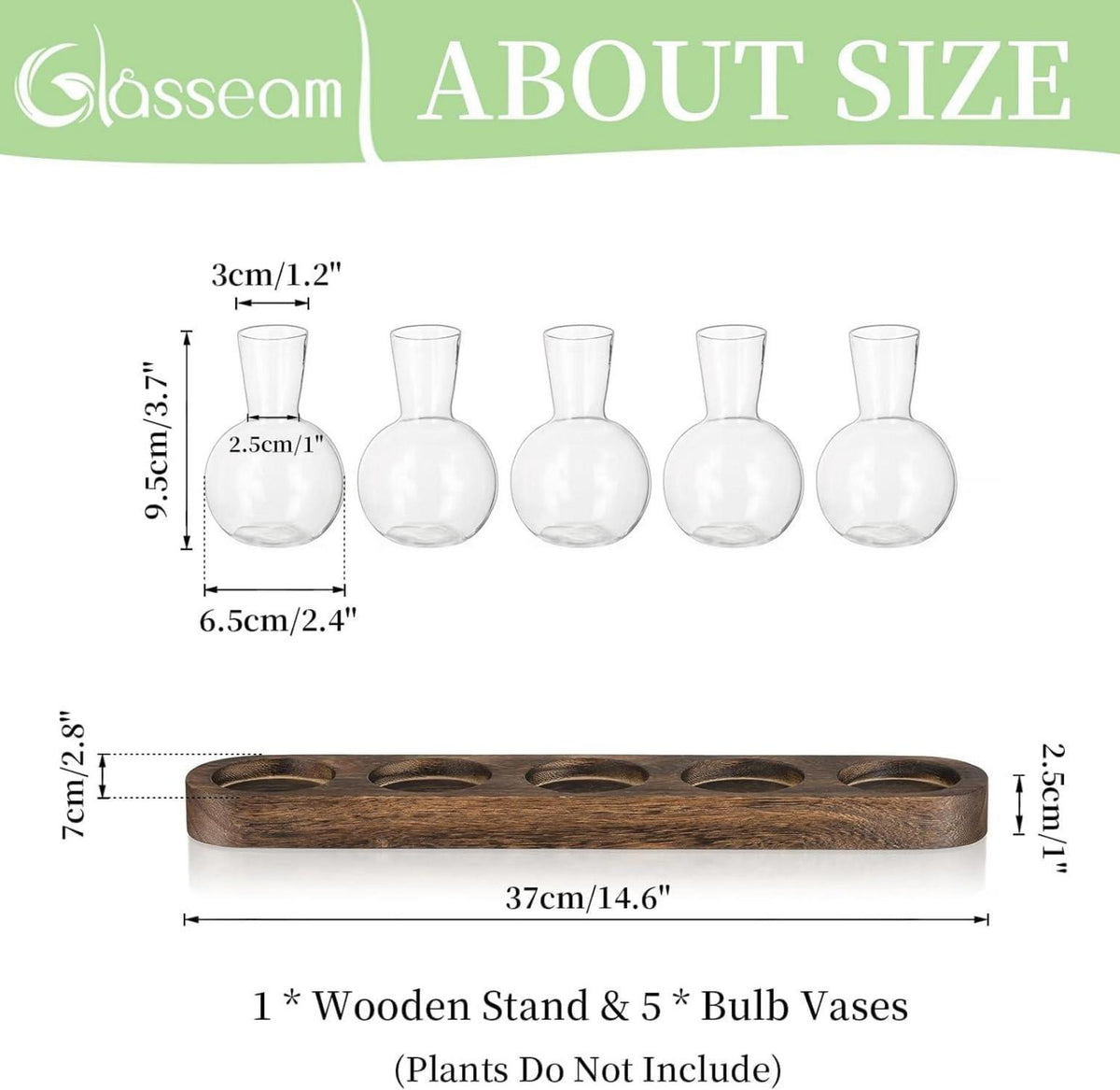 Pflanzen Terrarium Glasvasen inkl. Holztablett Hydrokultur Deko Set
