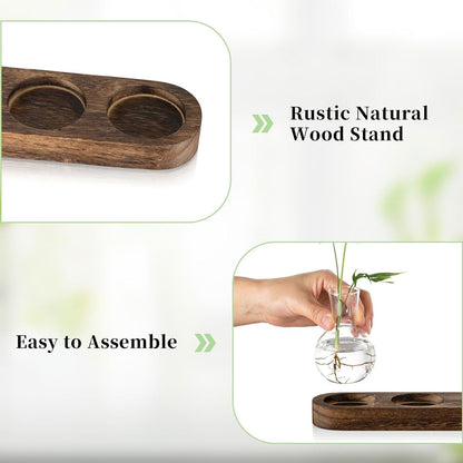 Mini Glasvase Set Hydrokultur Holztablett Wohnzimmer Büro Deko