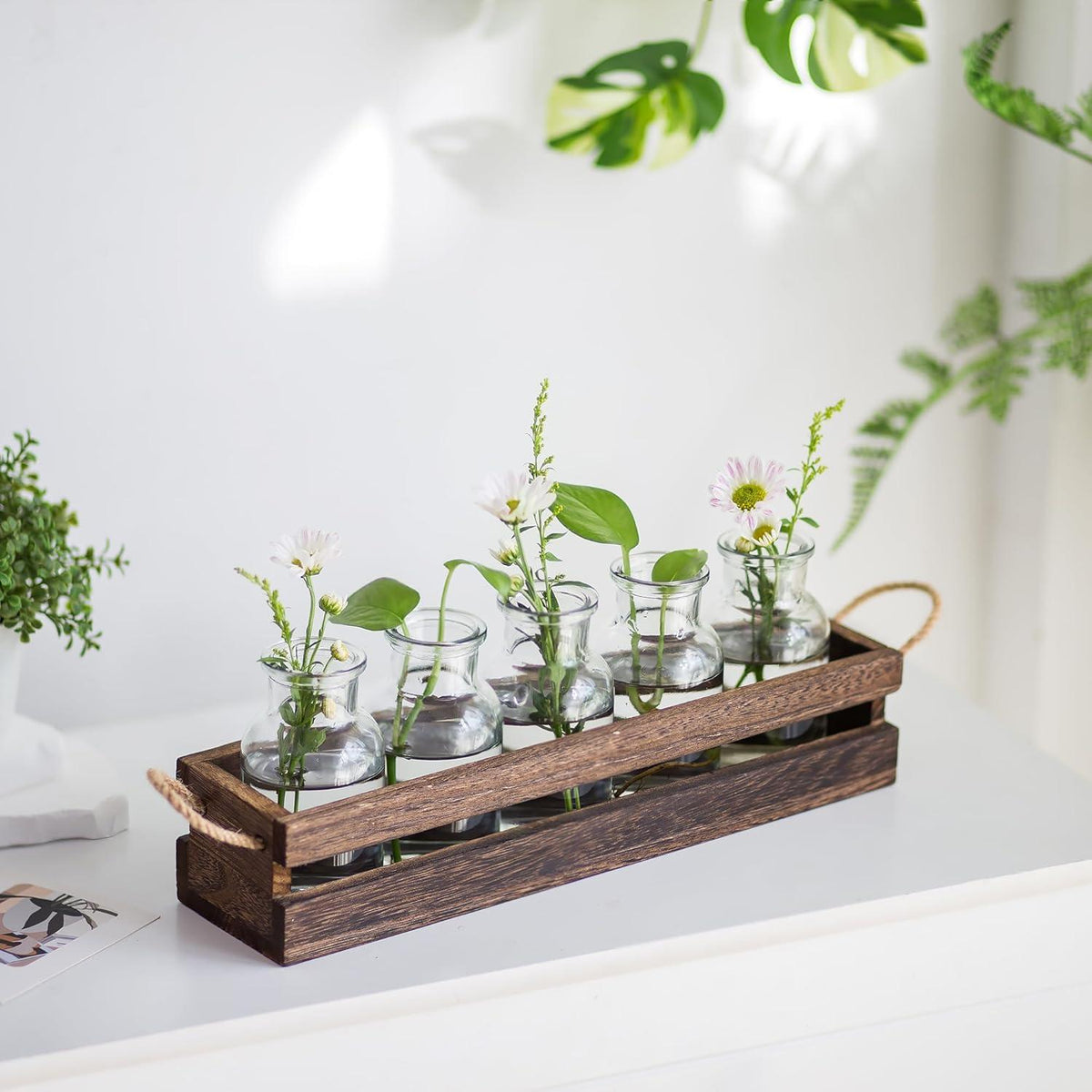Kleine Glasvase Set Hydrokultur Terrarium Pflanzen Deko