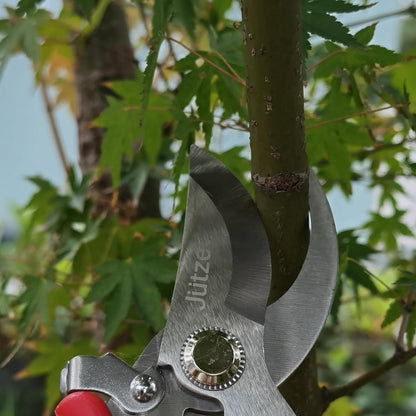Bypass-Gartenschere frische Äste Blumen Zweige 19 cm Stahl