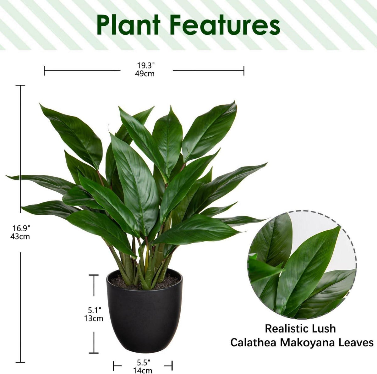 Künstliche Calathea Pflanze im Kunststofftopf, 43cm, 22