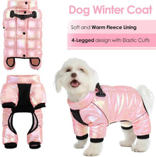 AOFITEE Wasserdichter Hundemantel Winter Warm, kleine mittel