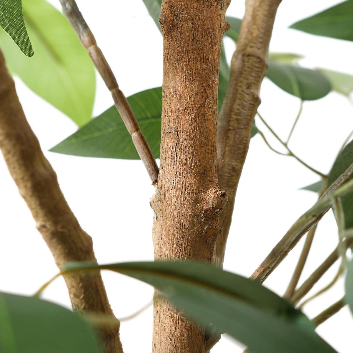 Kunstpflanze Ficus Benjamina 150cm mit Naturholzstamm im Topf